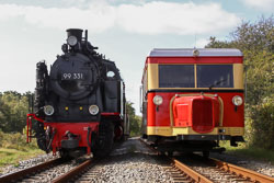 Molli und T 1 auf Borkum. Foto: Steve Domschke